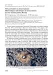 Гнездование кулика-сороки Haematopus ostralegus в экспозиции музея-заповедника Кижи