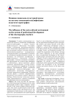 Влияние социально-культурной среды на систему повышения квалификации педагогов-хореографов