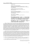 Идентификационный аспект в методологии создания систем управления технологическими объектами с нестационарными параметрами