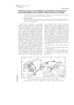Факторы среды и их влияние на динамику численности млекопитающих (на примере гренландского тюленя)