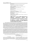 Эффективность синтеза -фруктофу-ранозидазы дрожжами debaryomyceshansenii при культивировании на питательной среде из мелассы