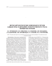 Морфо-метаболические изменения в легком самцов крыс в динамике злокачественного роста перевитой опухоли
