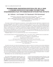 Взаимосвязь маркеров апоптоза (р53, bcl2, bax) с клинико-морфологическими параметрами и выживаемостью при немелкоклеточном раке легкого