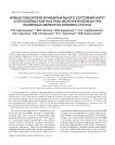 Новые показатели функционального состояния Hsp27 в опухолевых клетках рака молочной железы при различных вариантах Her2/neu-статуса