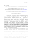 Сервисное обеспечение крупных спортивных мероприятий