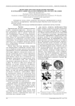 Дискретные ортогональные преобразования на фундаментальных областях канонических систем счисления