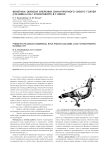 Фенетика окраски оперения синантропного сизого голубя (Columba Livia F. Synanthropic) в Г. Омске