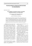 Регуляция суточного ритма течения сперматогенеза у белых крыс