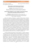 Application of the principle of efficiency in ensuring social and economic security