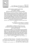 Аэромобильный комплекс сотовой связи, диспетчирования и мониторинга