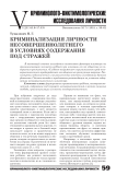 Криминализации личности несовершеннолетнего в условиях содержания под стражей