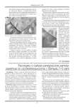 Расскажи о самом интересном летом:  занятие по изодеятельности с детьми 7–9 лет
