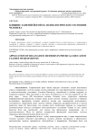 Влияние занятий йогой на психологическое состояние человека