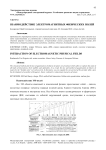 Взаимодействие электромагнитных физических полей