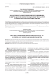 Эффективность обеспечения импортозамещения информационно-коммуникационных технологий в сфере науки и высшего образования