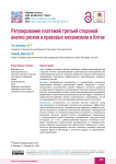 Регулирование платежей третьей стороной: анализ рисков и правовых механизмов в Китае