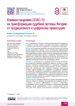 Влияние пандемии COVID-19 на трансформацию судебной системы Нигерии: от традиционного к цифровому правосудию