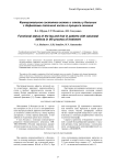Функциональное состояние голени и стопы у больных с дефектами пяточной кости в процессе лечения