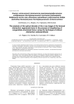 Анализ оптической плотности рентгенографического изображения дистракционного костного регенерата бедренной кости при удлинении врожденно укороченного бедра методом билокального дистракционного остеосинтеза
