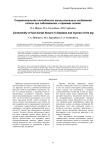 Сократительная способность мышц-тыльных сгибателей стопы при заболеваниях и травмах голени