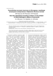 Несвободная костная пластика по Илизарову в проблеме возмещения гетерогенных дефектов длинных костей