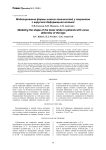 Моделирование формы нижних конечностей у пациентов с варусной деформацией голеней