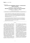 Характеристика микрофлоры у больных с заболеваниями крупных суставов