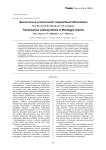 Чрескостный остеосинтез повреждений Монтеджиа