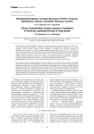 Интрамедуллярная система фиксации Fixion в лечении переломов, ложных суставов длинных костей