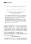 Структурная реорганизация реиннервируемой скелетной мышцы при низкочастотной электростимуляции