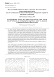 A new method to shorten the length of nerve graft and to secure the nerve repair (an intraoperative experience based on 30 cases of obstetrical brachial plexus palsy)