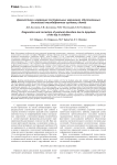 Диагностика и коррекция постуральных нарушений, обусловленных дисплазией тазобедренного сустава у детей