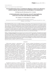 Гистоморфометрическое исследование берцовых нервов при удлинении голени на уровне проксимального метадиафиза в эксперименте