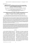 Морфологическое исследование локального влияния имплантатов с покрытиями на основе сверхтвердых соединений на костную ткань в условиях индуцированной травмы