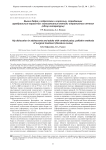 Вывих бедра у подростков и взрослых, страдающих церебральным параличом: паллиативные методы оперативного лечения (обзор литературы)