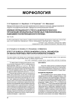 Влияние операционного стресса на морфологическую организацию функционально различных отделов брюшины в динамике послеоперационного периода