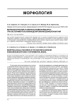Морфологические особенности миокарда крыс при экспериментальном моделировании дефицита магния