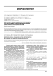 Морфологические изменения гиппокампа при экспериментальном моделировании диабетической энцефалопатии