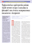 Морфологическая характеристика реакции тканей мочевого пузыря и влагалища на фиксацию к ним сетчатых полипропиленовых имплантатов в эксперименте