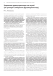 Церковное древлехранилище как музей (на примере Симбирского древлехранилища)