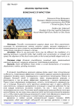 Механика ударных форм