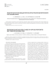 Эндогенная интоксикация при распространенном перитоните и их взаимосвязь