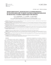 Целесообразность, безопасность и эффективность интраоперационной лучевой терапии в комбинированном лечении рака головки поджелудочной железы