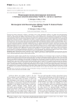 Microsurgical limb reconstruction utilizing Truelok TL external fixator:a case report
