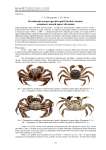 Китайский мохнаторукий краб Eriocheir sinensis  осваивает новый ареал обитания