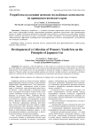 Разработка коллекции женских молодёжных комплектов по принципам японского кроя