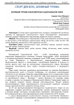 Активный туризм в Кенозерском национальном парке