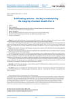 Самозалечивающиеся цементы – ключ к сохранению герметичности крепи скважин. Часть 2