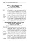 The stability of pigments in the thalli and extracts of the Barents Sea fucus algae