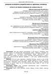 Влияние шумового воздействия на здоровье человека